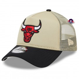 cap Trucker - Chicago Bulls 9Forty Trucker - De hele dag