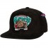 cap - Vancouver Grizzlies - NBA Alle Richtingaanwijzers - Mitchell & Ness