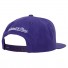 capToronto Raptors Mitchell & Ness - - Team Ground - Violet