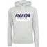 Hoodie - Florida Gators - NCAA - Grijs
