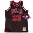 Authentieke Trui - Scottie Pippen - 33