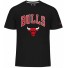 Chicago Bulls T-shirt - - New Era