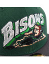 cap 59Fifty - Buffalo Bisons - Drop MiLB - Groen en grijs