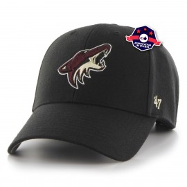 cap - Arizona Coyotes - '47