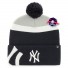 Yankees-pet