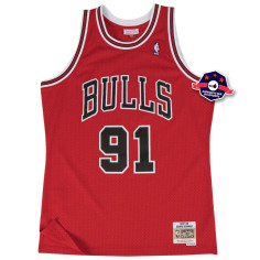Dennis Rodman's trui op de Chicago Bulls