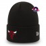 Chicago Bulls Pet - New Era
