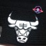 Chicago Bulls Pet - New Era