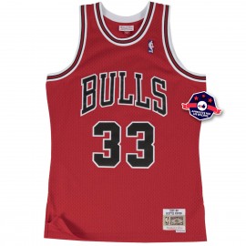 Trui - Scottie Pippen - Stieren