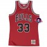 Trui - Scottie Pippen - Stieren