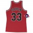 Trui - Scottie Pippen - Stieren