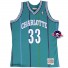 NBA-trui - Alonzo Mourning Charlotte Hornets