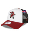 Trucker - Lehigh Valley Iron Pigs - Kleine Klasse