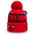 Chicago Bulls Pet - New Era