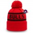 Chicago Bulls Pet - New Era