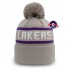 Los Angeles Lakers Muts - Grijs - New Era
