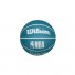 WilsonDribblerBal Charlotte Hornets