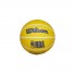 WilsonDribblerBal Golden State Warriors