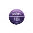WilsonDribblerBal Los Angeles Lakers