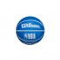 WilsonDribblerBal New York Knicks