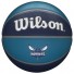 Charlotte Hornets Wilson NBA-bal - - Maat 7