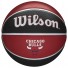 Chicago Bulls Wilson NBA-bal - - Maat 7