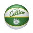 NBA Minibal - Boston Celtics