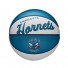 NBA Minibal - Charlotte Hornets