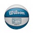NBA Minibal - Charlotte Hornets