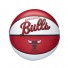 NBA Minibal - Chicago Bulls
