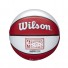 NBA Minibal - Chicago Bulls