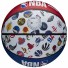 Wilson NBA Alle Teams Bal - - Maat 7