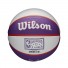 NBA Minibal - Phoenix Suns
