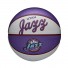 NBA Minibal - Utah Jazz