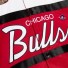 Chicago Bulls Satijnen Jasje - - Speciaal Script - Mitchell and Ness