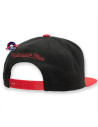 cap - Chicago Bulls Dual Whammy - Mitchell & Ness