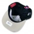 cap Snapback - Pittsburgh Penguins - American Needle
