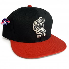 cap Snapback - San Francisco Zeehonden - American Needle