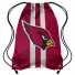 NFL Tas - Arizona Cardinals - Foco