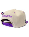 cap - Toronto Raptors - Off White tweetinten - Mitchell & Ness