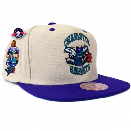 cap - Charlotte Hornets - Off White tweetinten - Mitchell & Ness